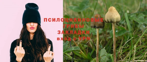 винт Алзамай
