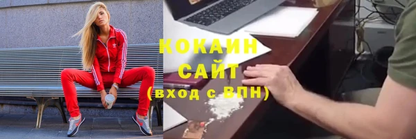 винт Алзамай