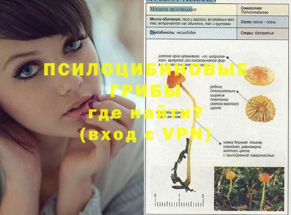 винт Алексеевка