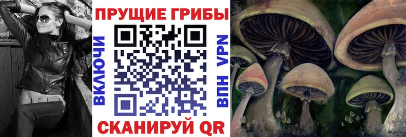 мега Бердск Псилоцибиновые грибы Psilocybine cubensis